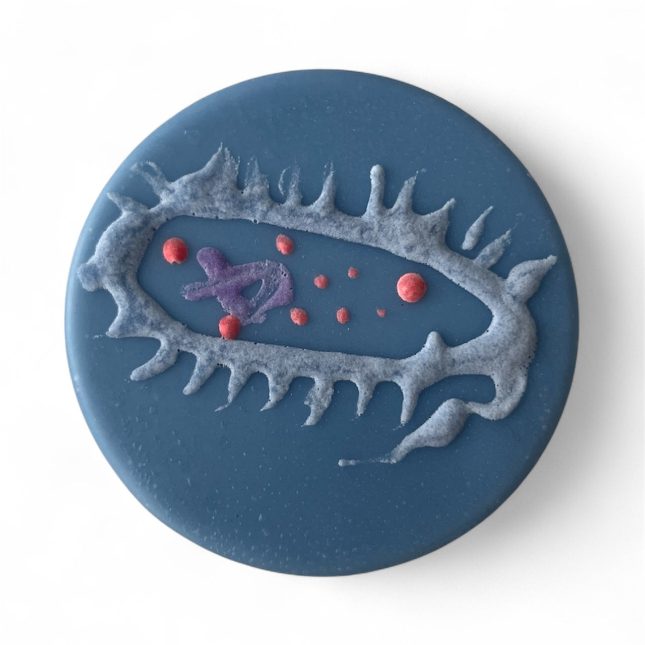 Bacterial Cell Soap