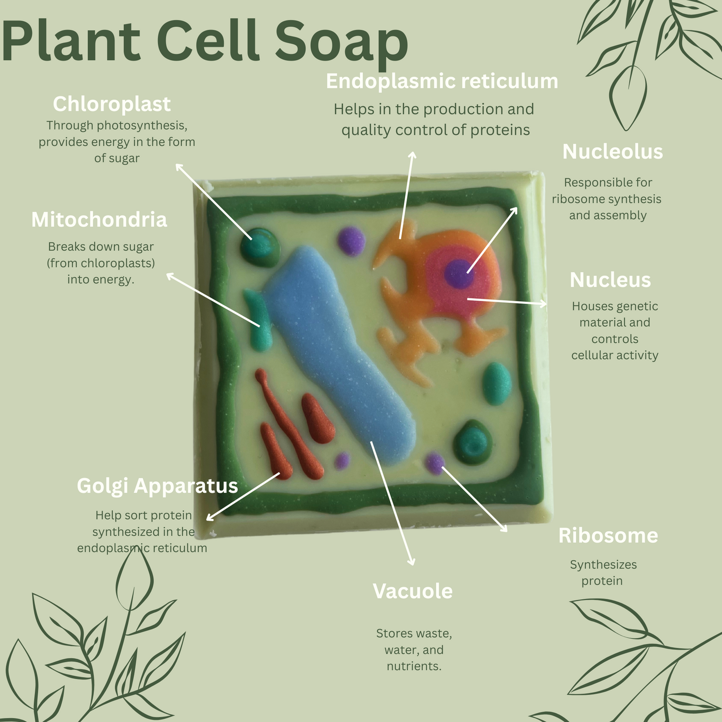 Plant Cell Soap