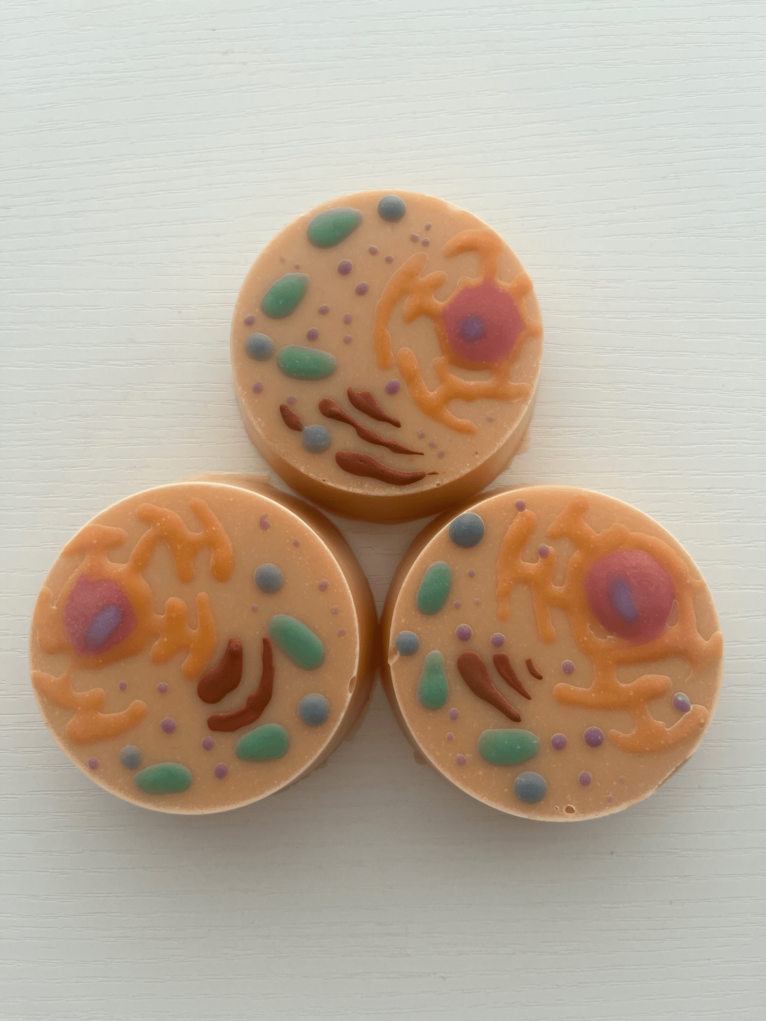 Eukaryotic Cell Soap - Microjaislab