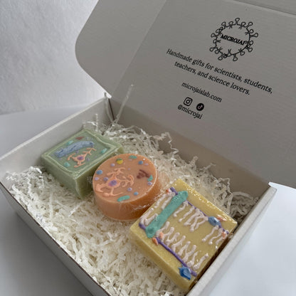 Cell Soaps Bundle