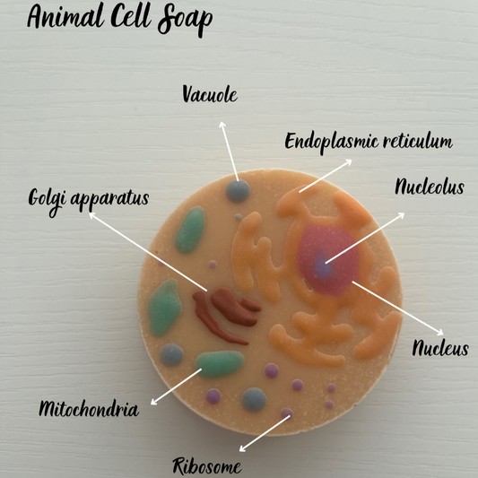 Animal Cell Soap