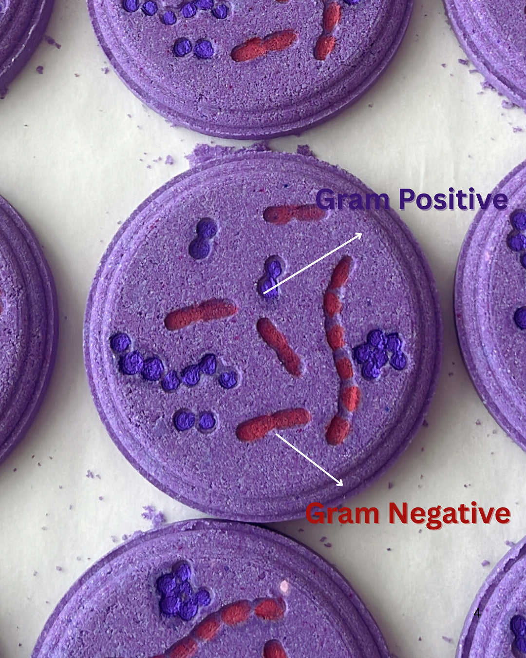 Gram Stain Bath Bomb