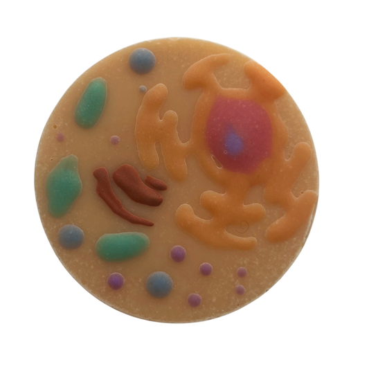 Animal Cell Soap
