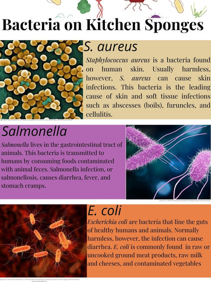 Surviving Microbes Guidebook (Digital Download) - Microjaislab
